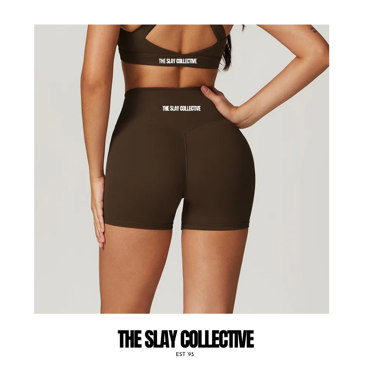 A/W Icons High Waisted Shorts - Coffee